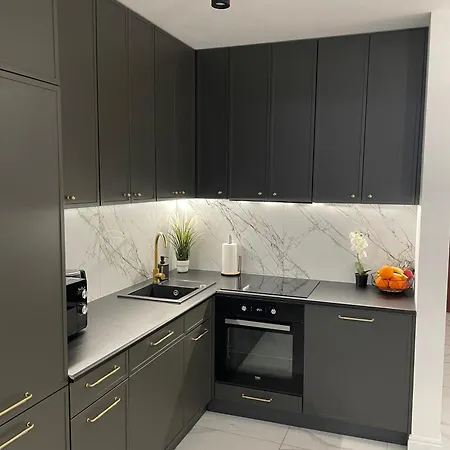 Apartment Penthouse Na Loftach Tymienieckiego W Centrum Lodzi Lodz (Lodz)