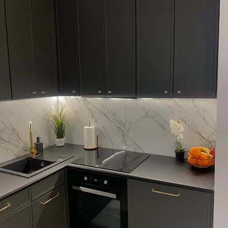 Penthouse Na Loftach Tymienieckiego W Centrum łodzi Apartament *