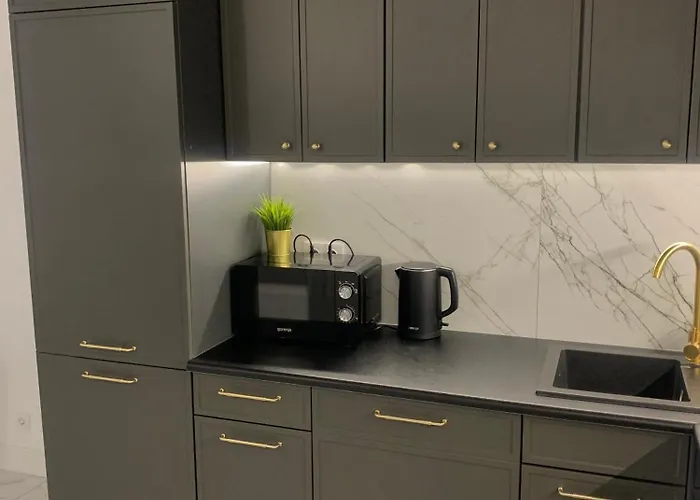 Penthouse Na Loftach Tymienieckiego W Centrum Lodzi Lodž