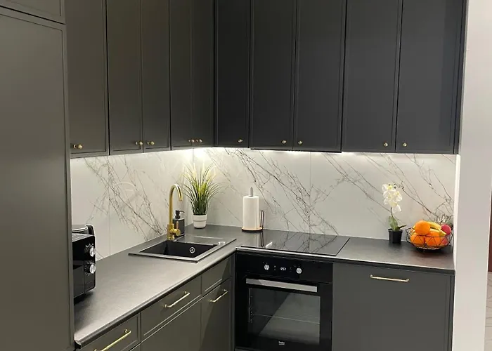 Appartement Penthouse Na Loftach Tymienieckiego W Centrum Lodzi Łódź