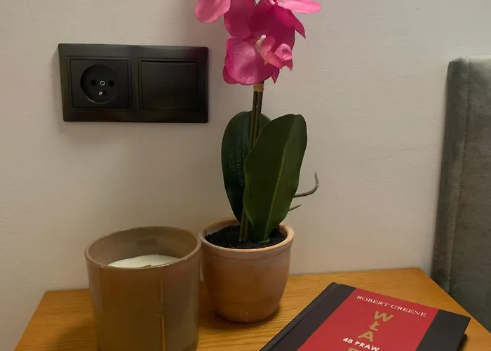 Penthouse Na Loftach Tymienieckiego W Centrum Lodzi *